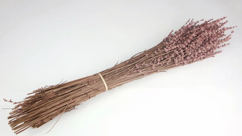 Stabilisierter Lavendel - 1 Bund - Hellrosa