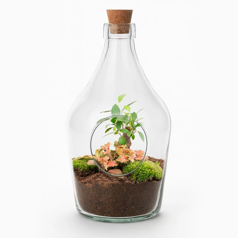 Offenes Terrarium John - Bonsai & Ruby Lime ↑ 30 cm