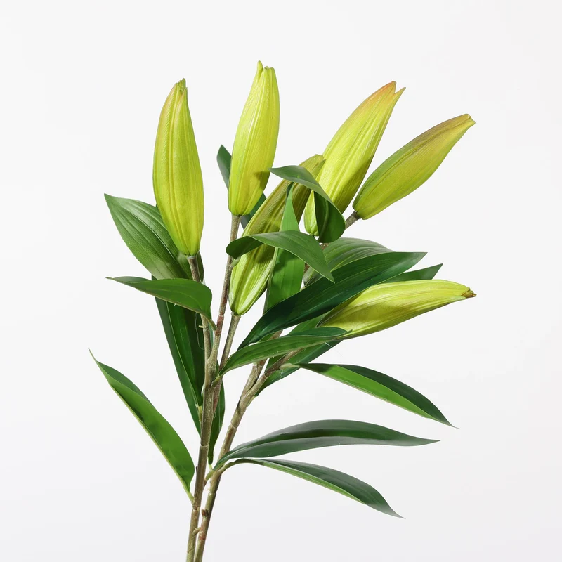 Künstliche Lilie 95 cm, Täuschend Echter Lilienzweig in Real-Touch-Qualität, Langstielige Kunstblume für Bodenvase, Hochzeitsdeko, Floristik