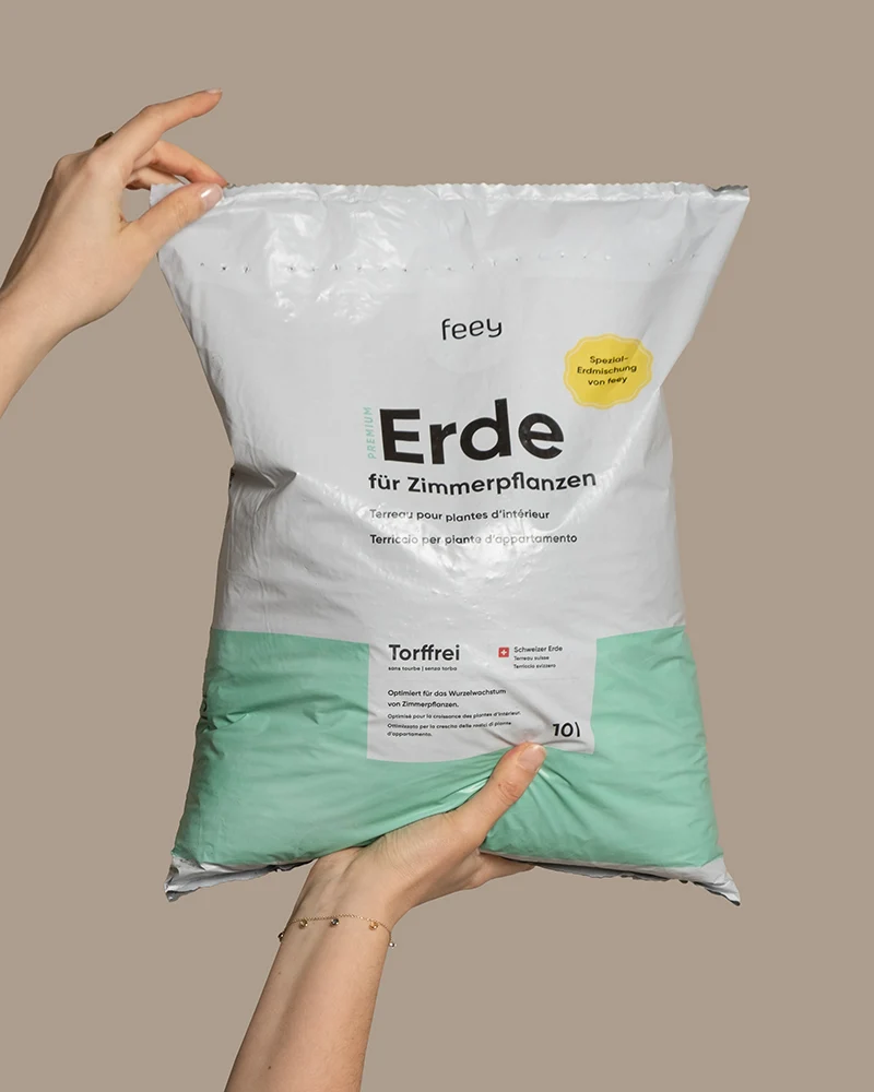 Erde für Zimmerpflanzen