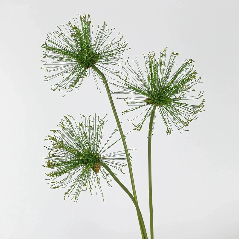Künstliches Papyrus Ziergras (63/82cm), realistischer Allium Deko-Zweig, Kunstpflanze für Bodenvase, Hochzeit, Event & langlebige Raumdeko