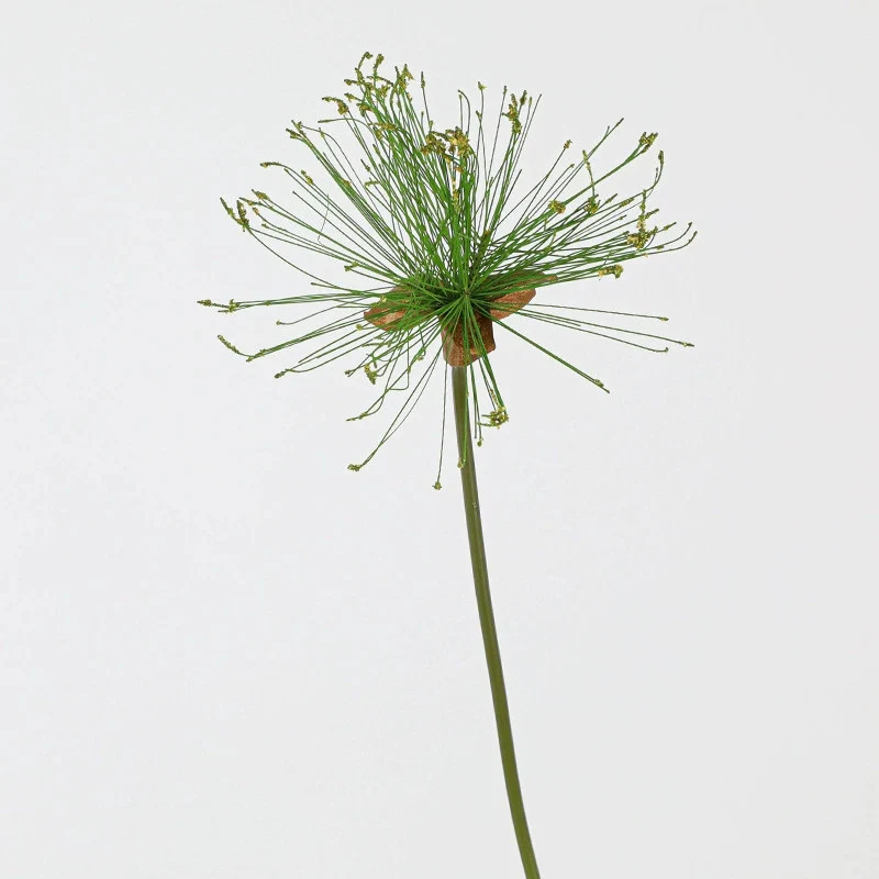 Künstliches Papyrus Ziergras (63/82cm), realistischer Allium Deko-Zweig, Kunstpflanze für Bodenvase, Hochzeit, Event & langlebige Raumdeko