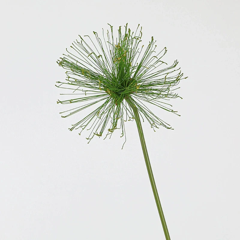 Künstliches Papyrus Ziergras (63/82cm), realistischer Allium Deko-Zweig, Kunstpflanze für Bodenvase, Hochzeit, Event & langlebige Raumdeko