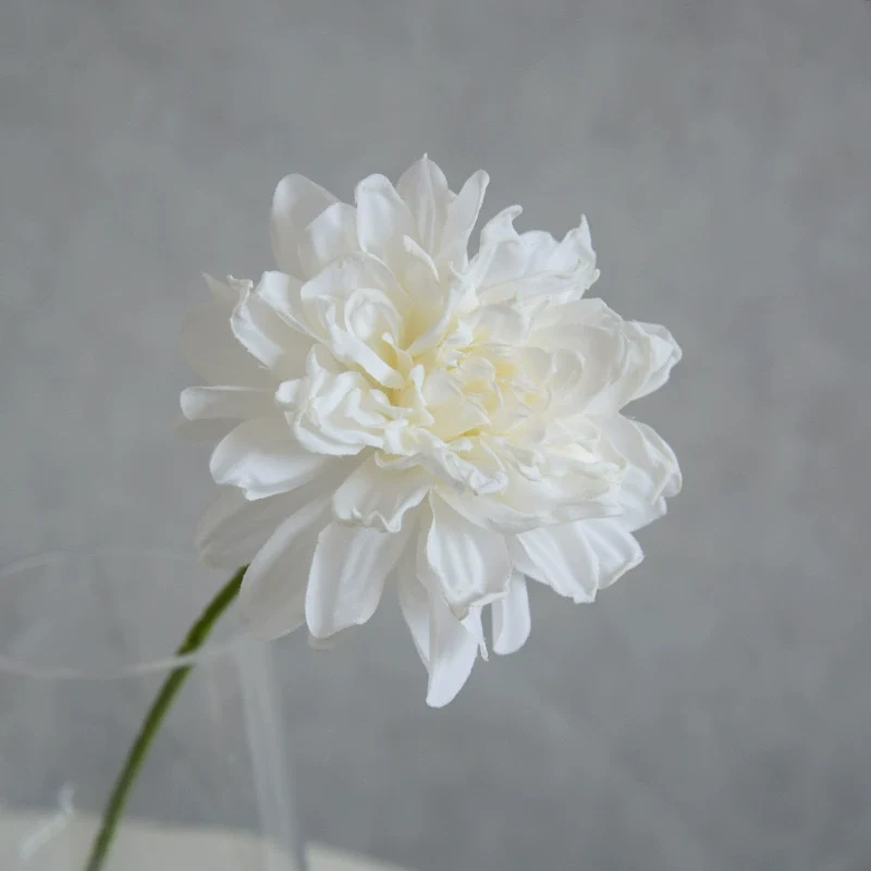 Künstliche Dahlie 30 cm, Real Touch Kunstblume mit geflammtem Rand, Einzelstiel für Vase, Gestecke, Hochzeit, langlebige Deko