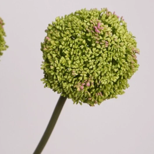 Zierlauch künstlich 75cm, Allium Kunstblume täuschend echt, Dekozweig für Vase, Hochzeit & Gastronomie, hochwertige Alliumkugel