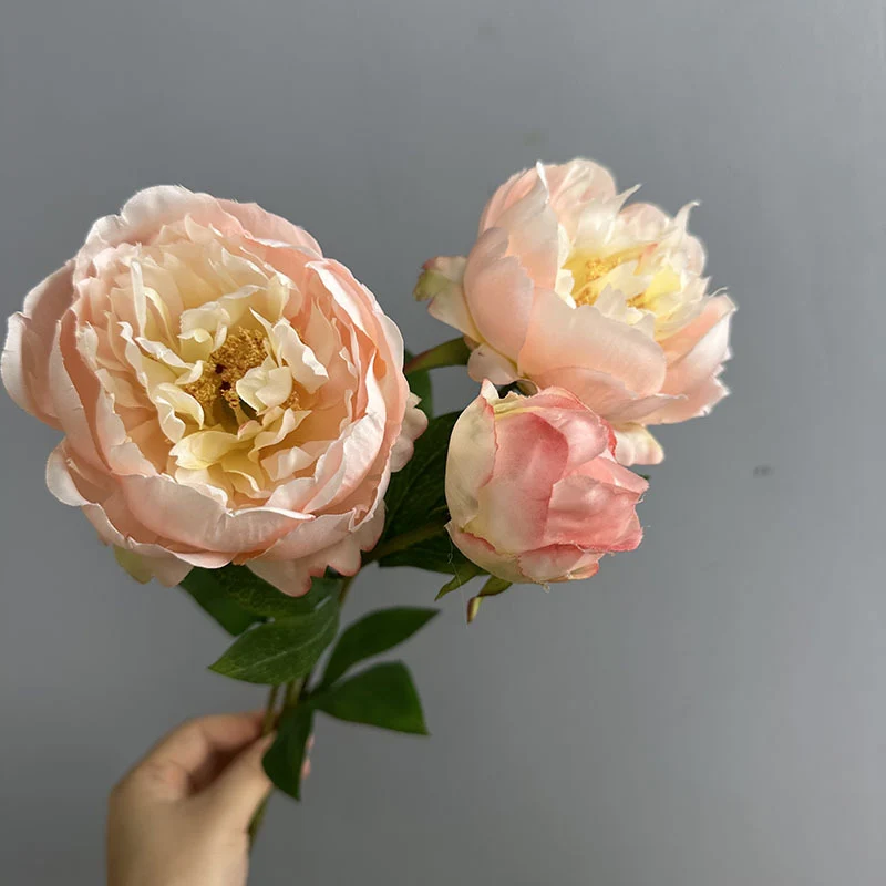 Künstliche Pfingstrose 50 cm, 2er-Set – Seidenblumen mit je 2 Blütenköpfen für Vase, Hochzeit & Deko