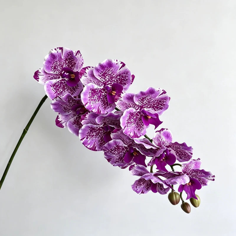 Phalaenopsis Orchidee künstlich 98 cm | 9 Blüten | Real-Touch | Kunstblume für Dekoration, Hochzeit & Floristik
