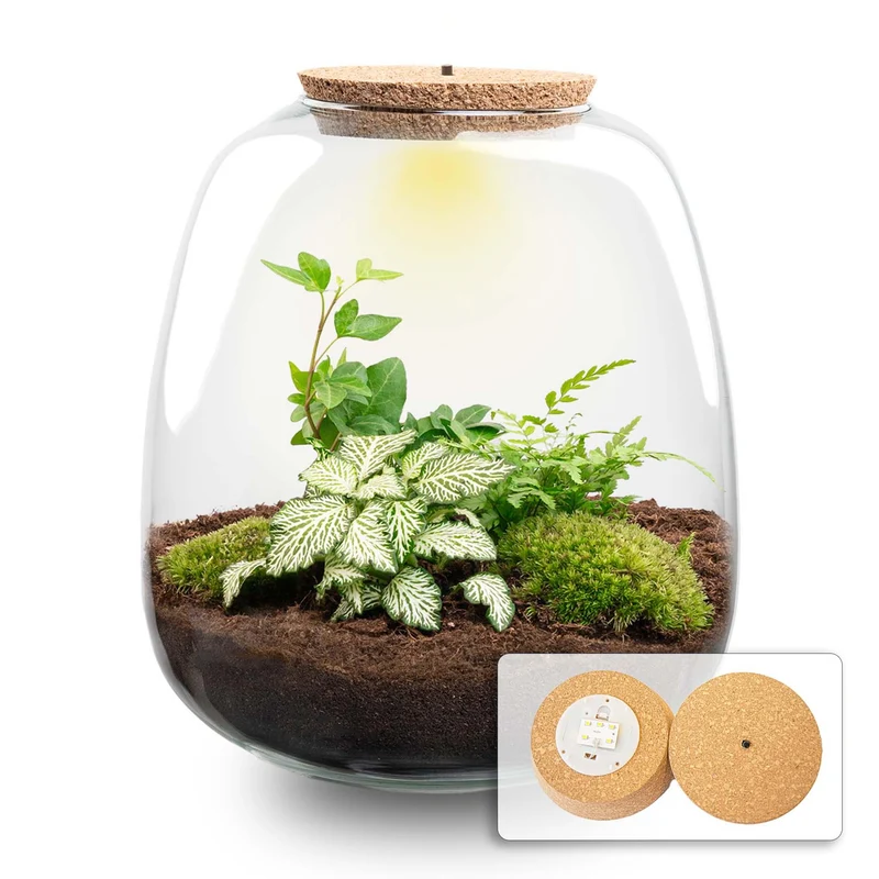 Pflanzenterrarium Emma Bausatz 25 cm Ø 23 cm Hedera Weiß