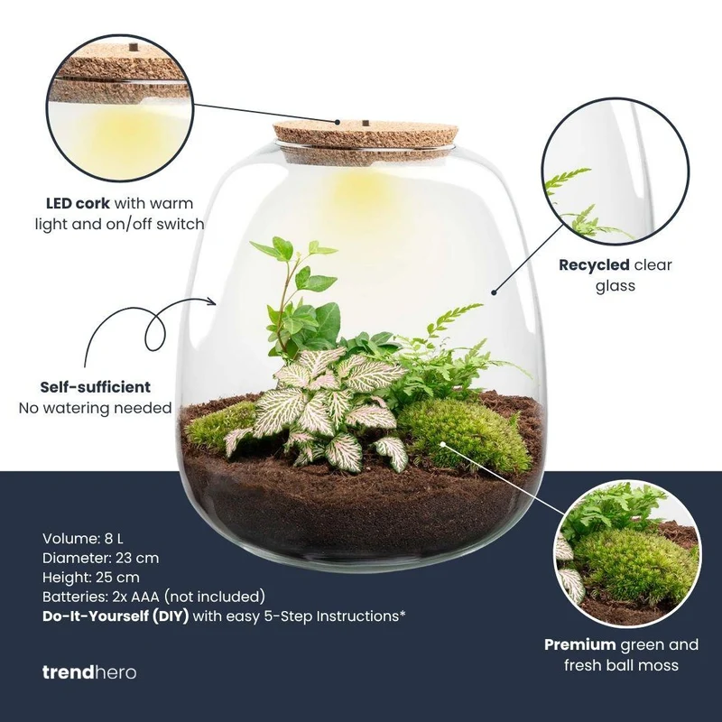 Pflanzenterrarium Emma Bausatz 25 cm Ø 23 cm Hedera Weiß