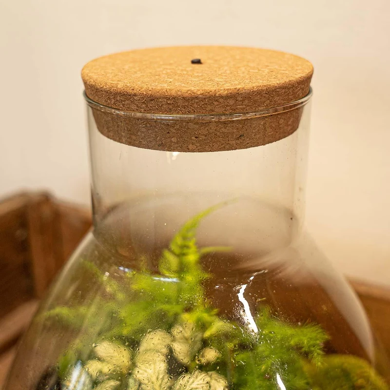 Korkplatte mit LED-Beleuchtung für Terrarien, 13,2 x 11,9 x 3,5 cm