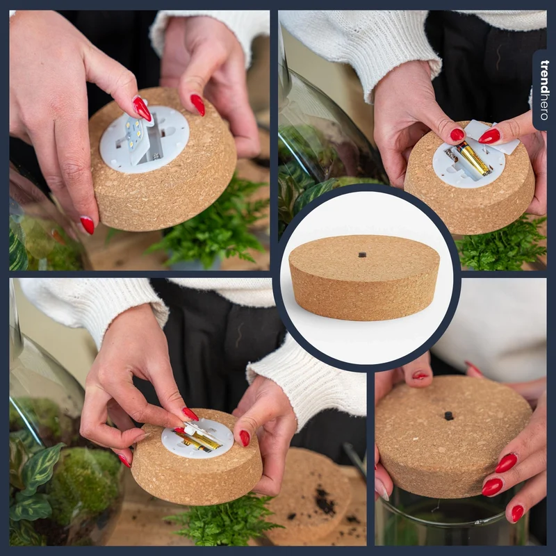 Korkplatte mit LED-Beleuchtung für Terrarien, 13,2 x 11,9 x 3,5 cm