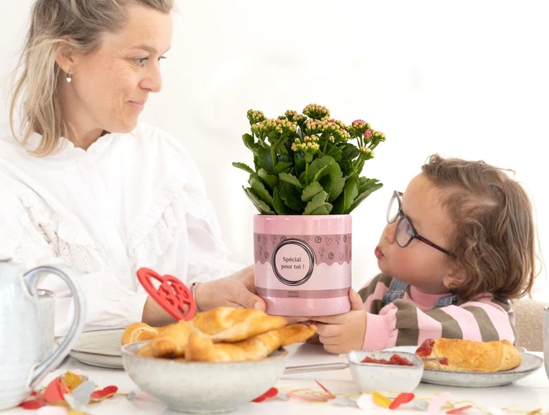 Kalanchoe Pink in P&PURE "Special Pour Toi"-Verpackung - Ø12cm - ↕27cm