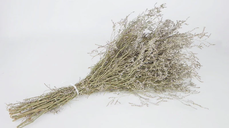 Limonium getrocknet - 1 Bund XL - Naturfarbe Helllila