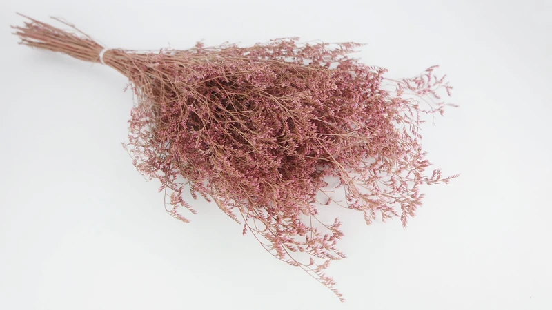 Limonium getrocknet - 1 Bund XL - Vintage rosa