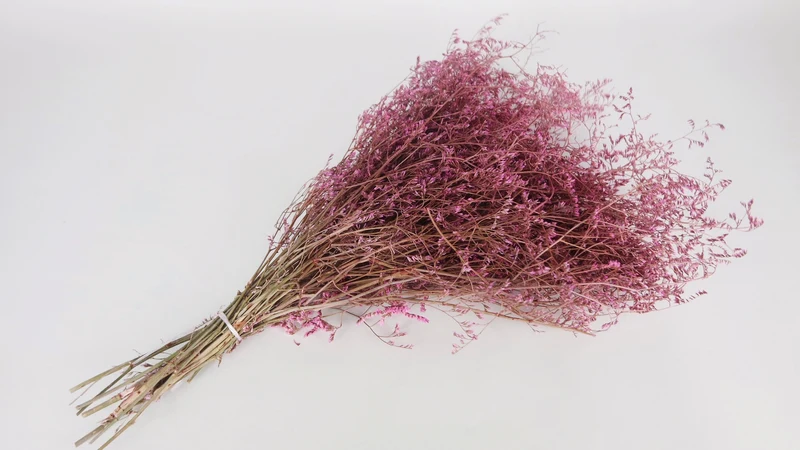 Limonium getrocknet - 1 Bund XL - Vintage rosa