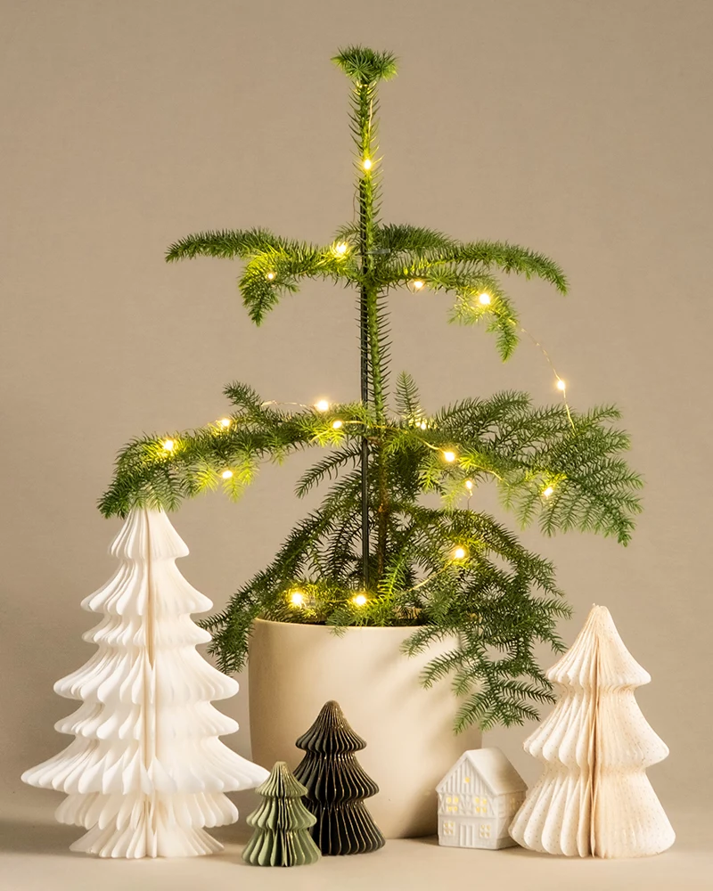Lichterkette
