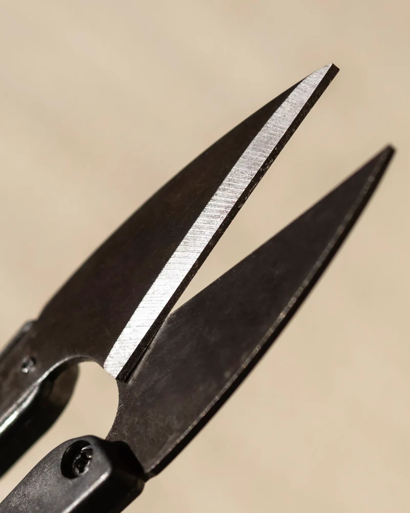 Kleine Pflanzenschere