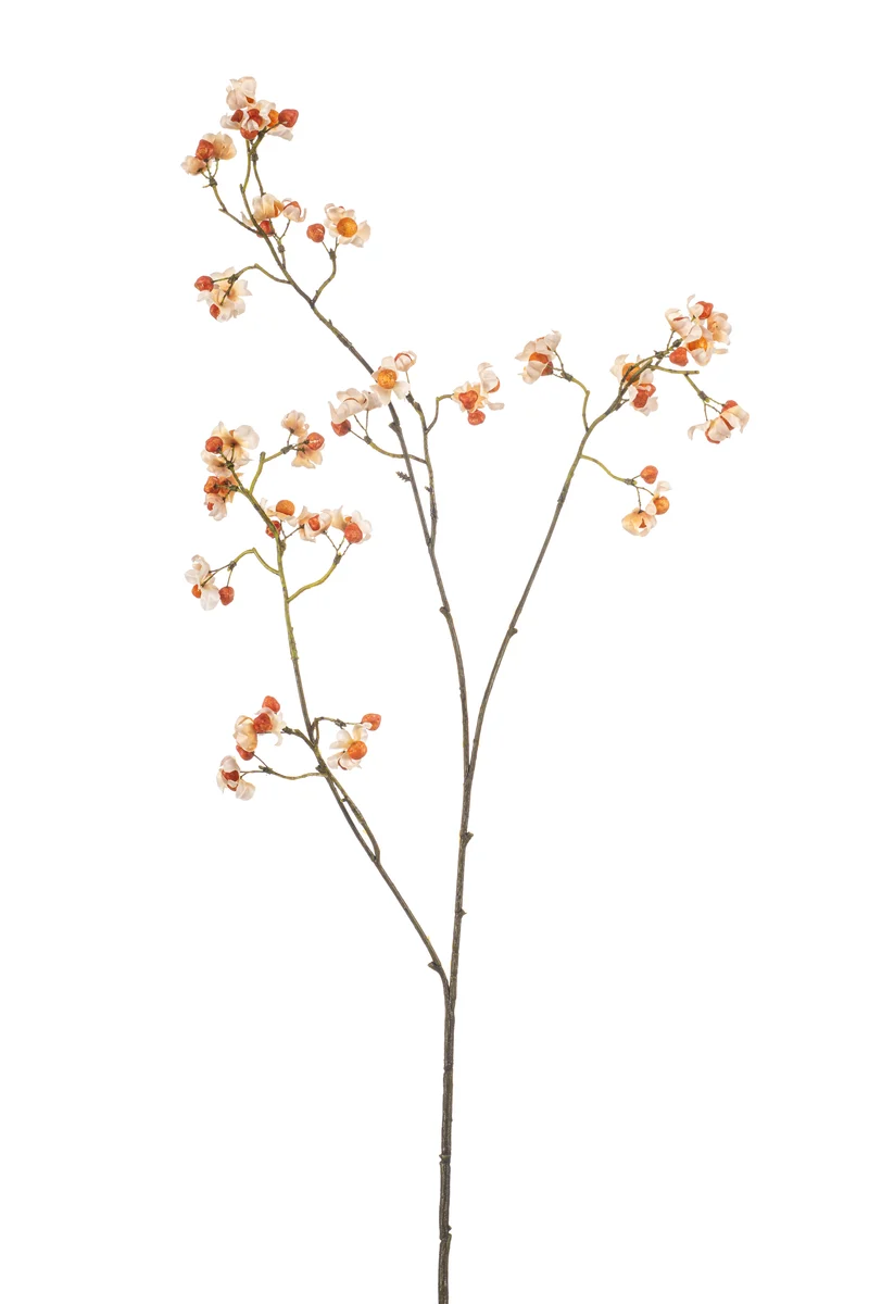 Spindelstrauch künstlich 90 cm - 1 Zweig - Creme/ Orange
