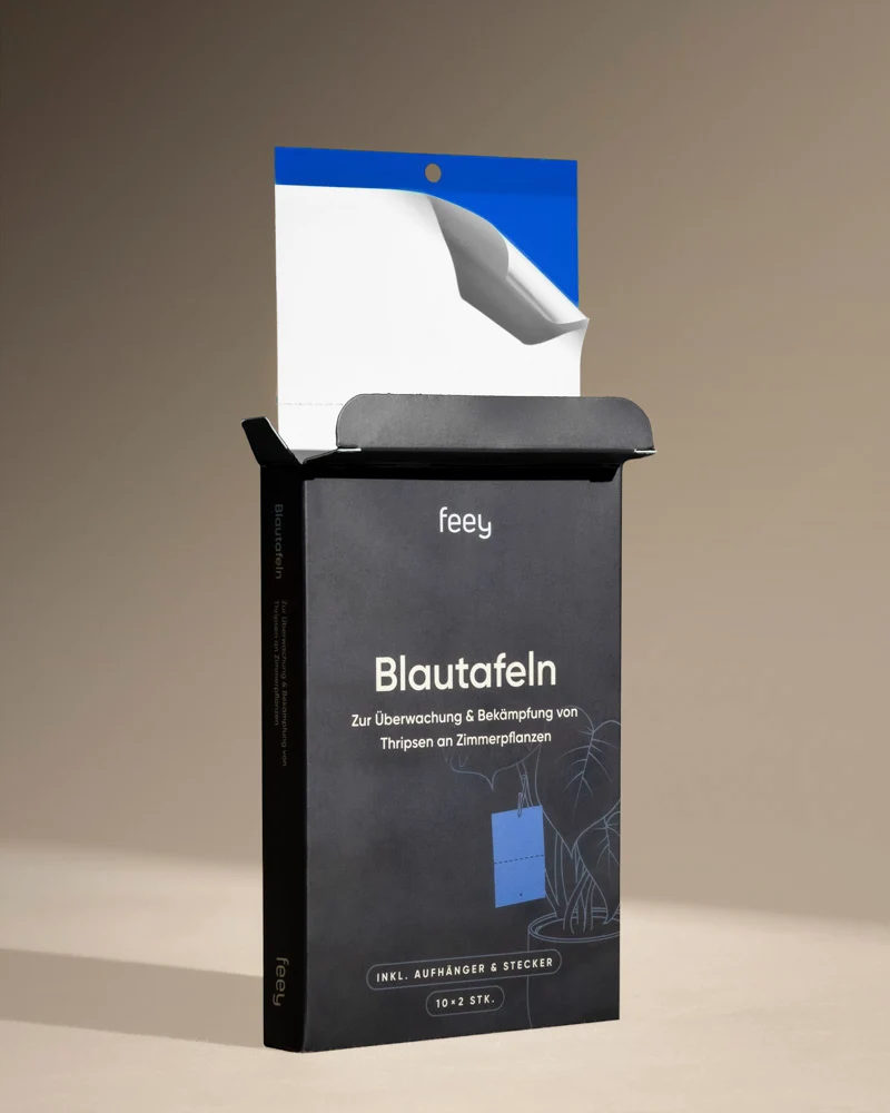 Blautafeln gegen Thripse