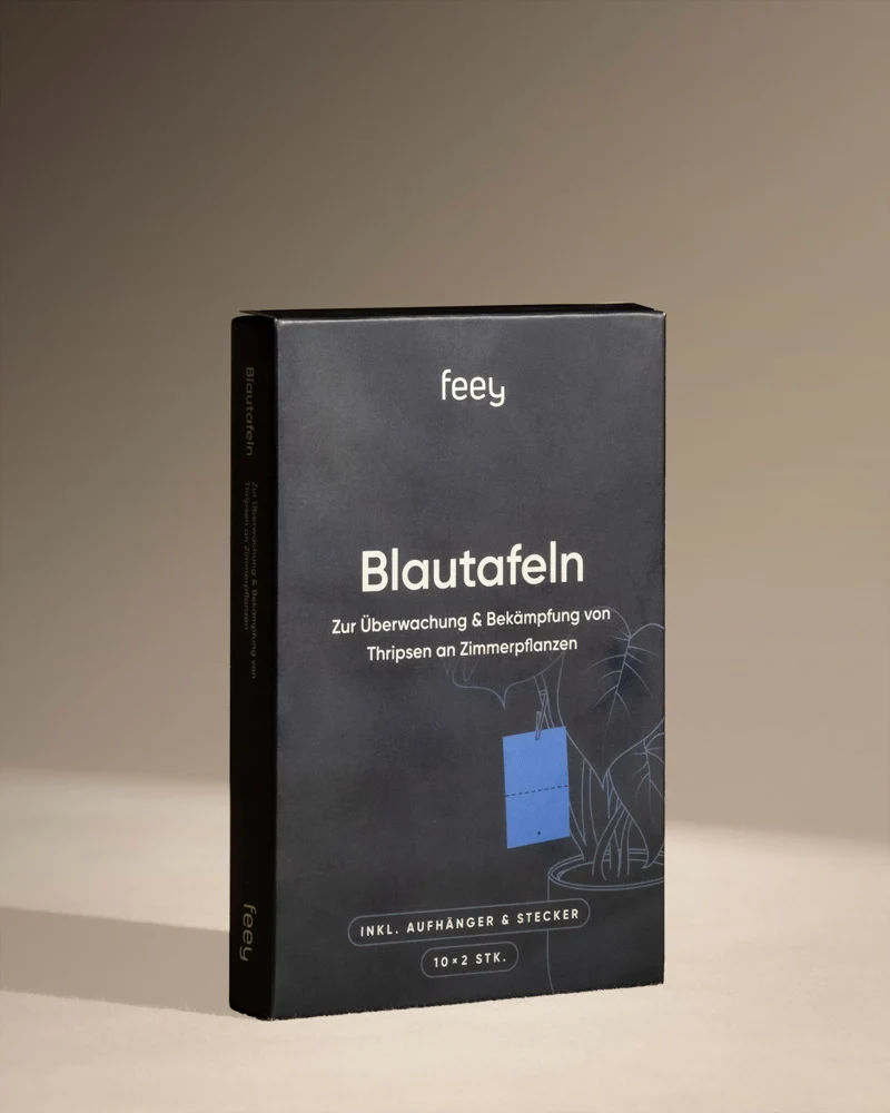 Blautafeln gegen Thripse
