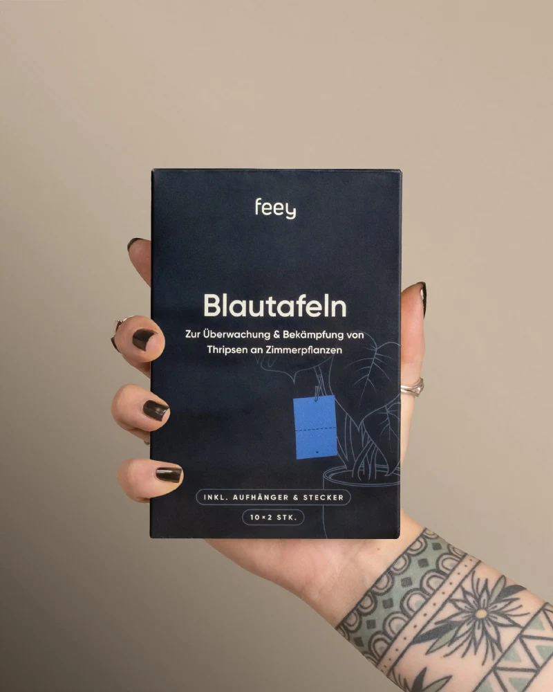 Blautafeln gegen Thripse