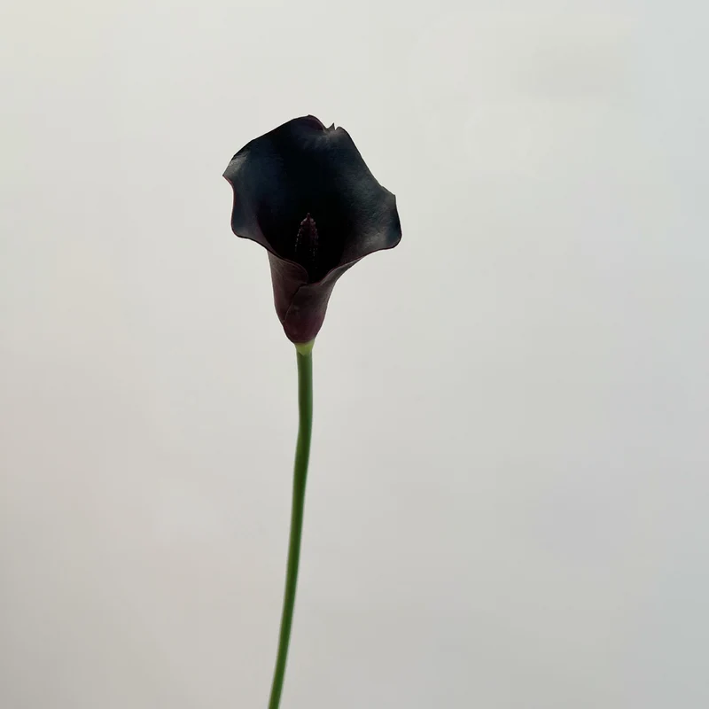 6er Set Calla Lilien Kunstblumen, 66cm Real Touch, Hochwertige Calla in Schwarz-Lila, für Gothic Deko, Halloween, Vase & elegante Arrangements