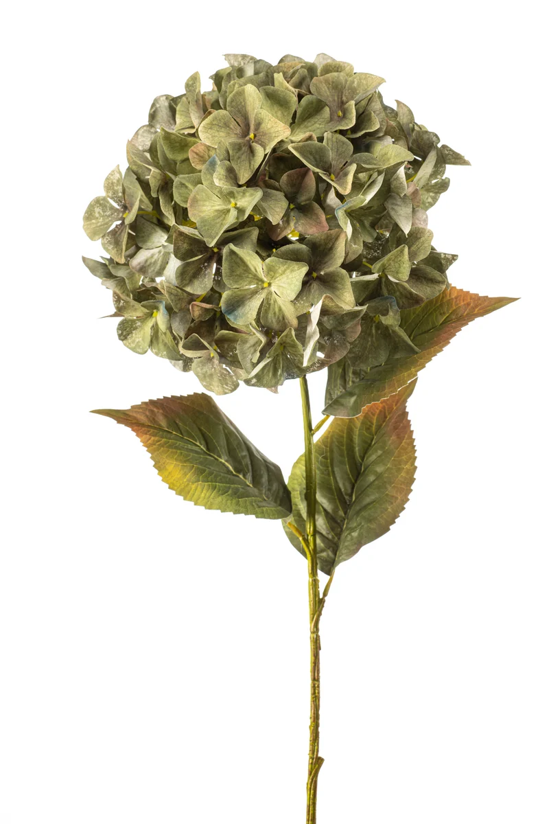 Hortensie XXL künstlich 90 cm - 1 Kopf - Grün