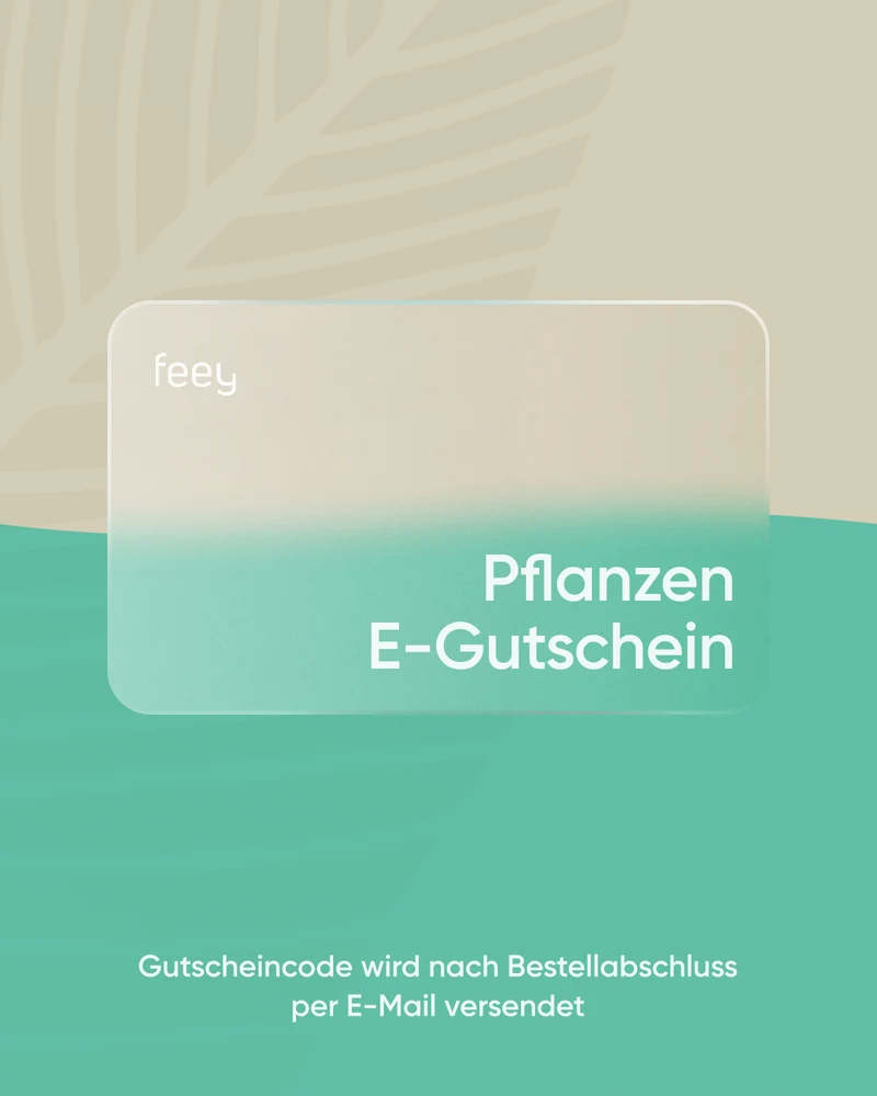 E-Gutschein