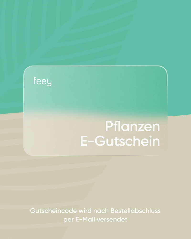 E-Gutschein