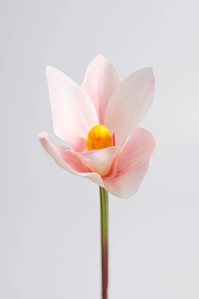 Künstliche Cymbidium-Orchidee mit Real-Touch, ca. 28 cm hoch – flexibler Stiel für Vase, DIY-Gestecke & Hochzeitsfloristik