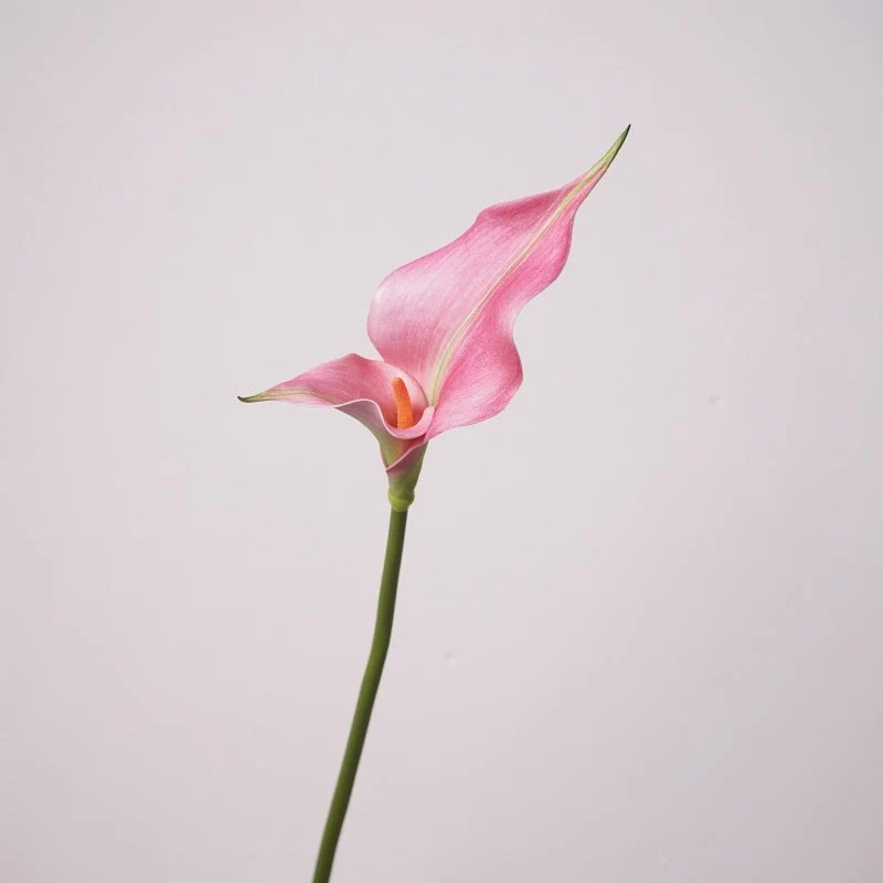 Premium Calla-Lilie Kunstblume, 58cm Stiel mit Doppelblüte, Real Touch Qualität für elegante Vasendeko, Hochzeit & Gestecke