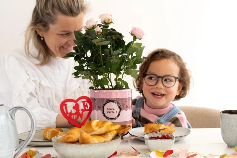 Rose Light Pink In P&PURE "SPECIAL POUR TOI" Verpackung - Ø12cm - ↕30cm