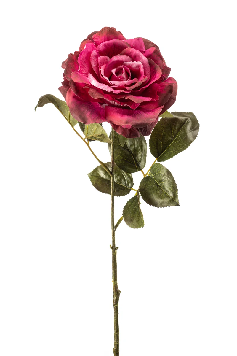 Rose pascal künstlich 65 cm - 1 Stiel - Fuchsienrot