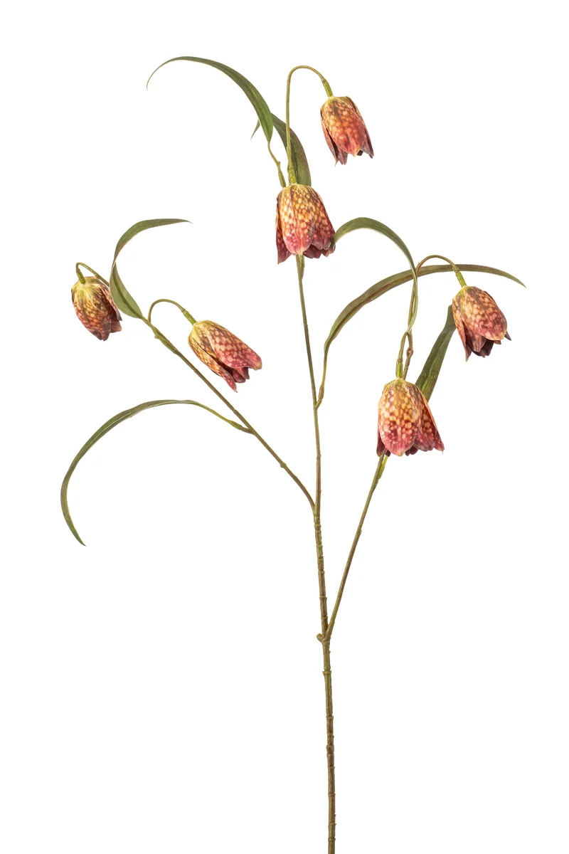 Schachbrettblume künstlich 58 cm - 1 Stiel - Grün/ rosa