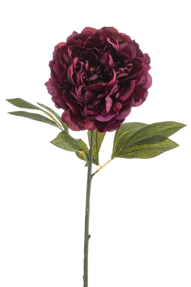 Pfingstrose künstlich 77 cm - 1 Stiel - Bordeaux