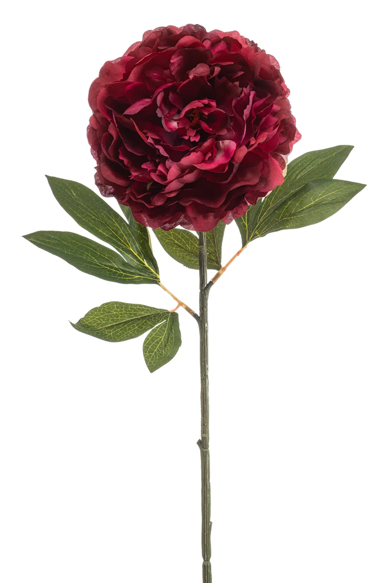 Pfingstrose künstlich 77 cm - 1 Stiel - Fuchsienrot