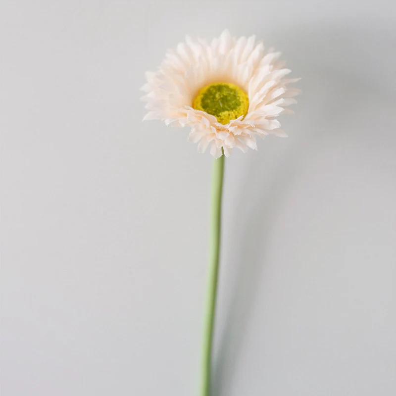 10 Stück 20cm Kunstblumen Afrikadaisy Stängel Gerbera Bouquet Frühling - Blumenarrangements für Tischdekoration