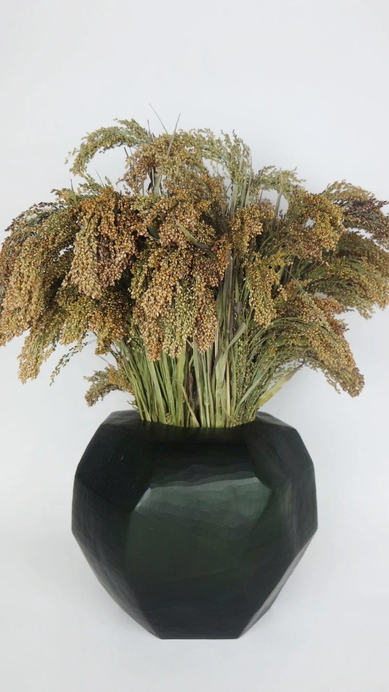 Panicum - 1 Bund - Naturfarbe