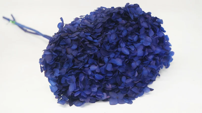 Konservierte Hortensie Anna - 1 Kopf - Majorelle blau