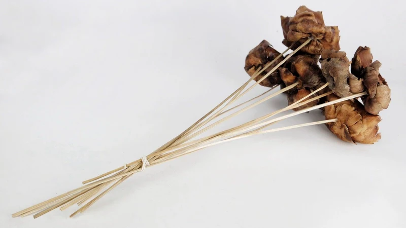 Palm Cup am Stiel - 1 Bund - Naturfarbe