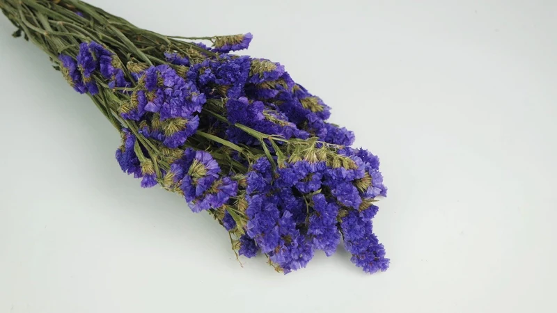 Statice getrocknet - 1 Strauß - Naturfarbe dunkelviolett