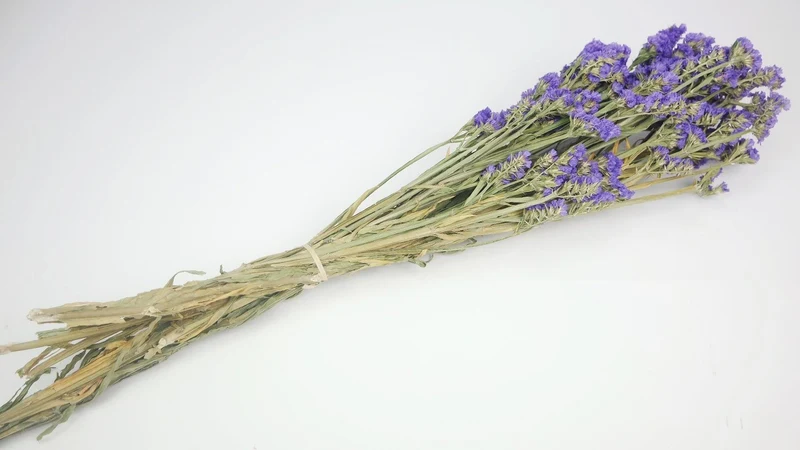 Statice getrocknet - 1 Strauß - Naturfarbe dunkelviolett