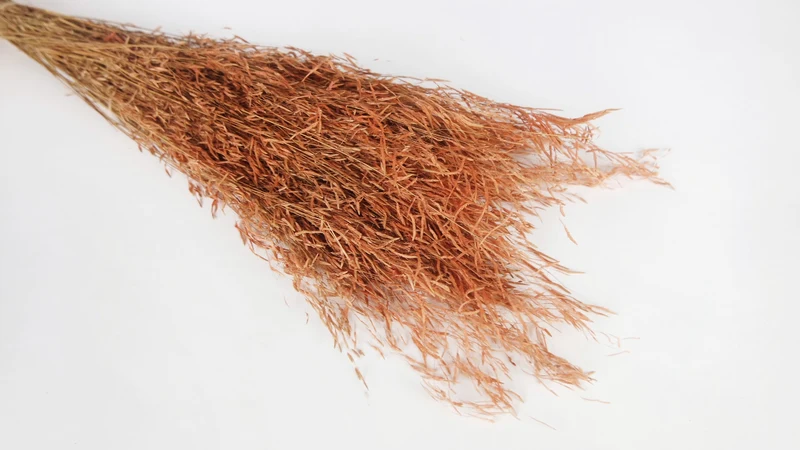 Munni - 1 Bund - Terracotta