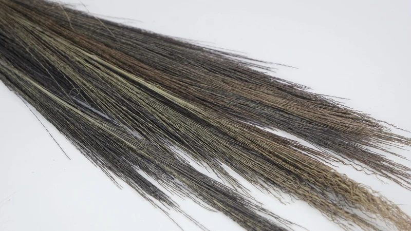 Broom Gras - 1 Strauß - Naturfarbe