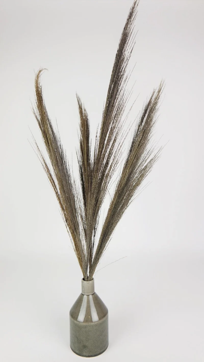 Broom Gras - 1 Strauß - Naturfarbe