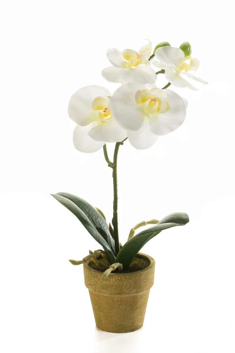 Orchidee künstlich - 1 Topf - Creme
