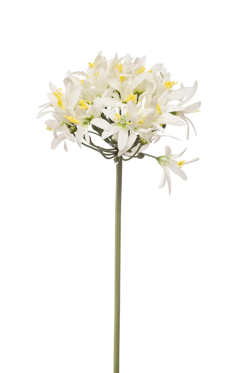 Agapanthus künstlich 80 cm - 1 Stiel - Weiß