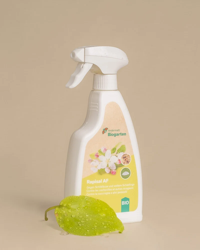 Spray gegen Schädlinge