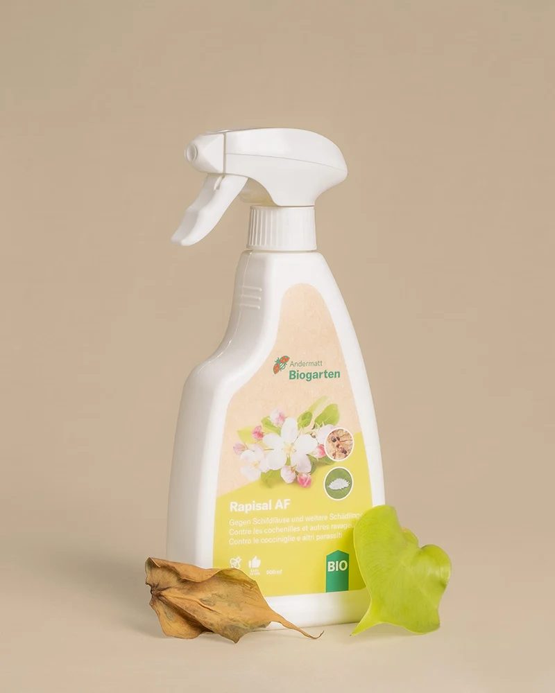 Spray gegen Schädlinge