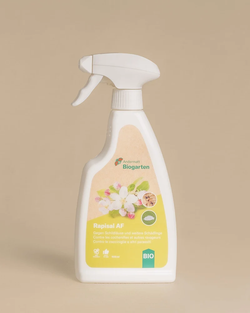 Spray gegen Schädlinge